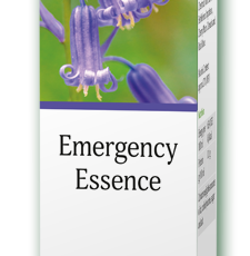 Jan De Vries Emergency Essence
