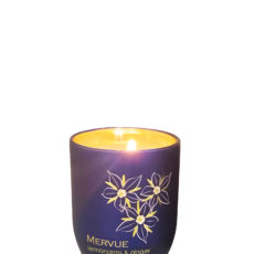 Mervue Lemongrass & Ginger Candle Mervue Lemongrass & Ginger Candle